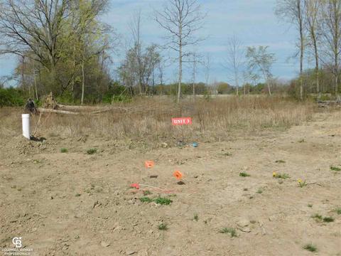 67613 Ashley, Richmond, MI 48062
