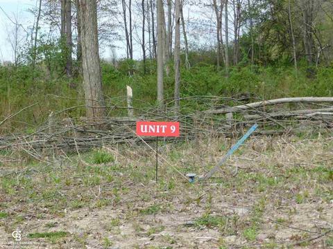 67745 Ashley, Richmond, MI 48062