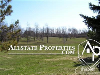 10425 Golfview, Davison, MI 48423 photo 3