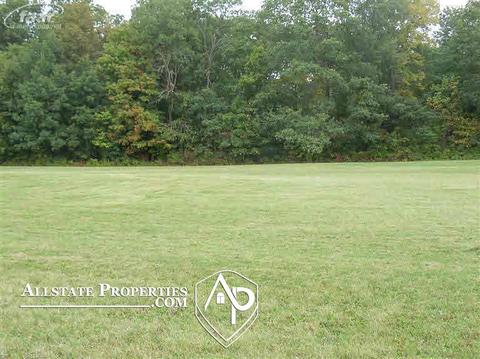 10425 Golfview, Davison, MI 48423