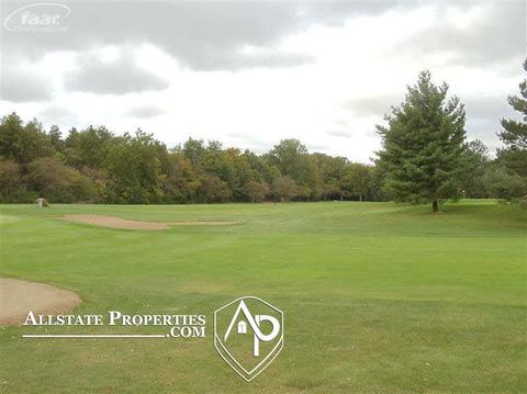 10415 Golfview, Davison, MI 48423 photo 5