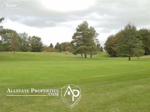 10415 Golfview, Davison, MI 48423 photo 4