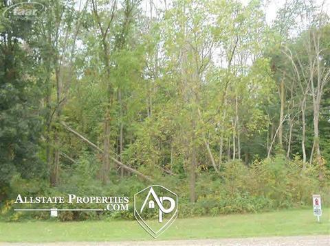 2296 S State, Davison, MI 48423