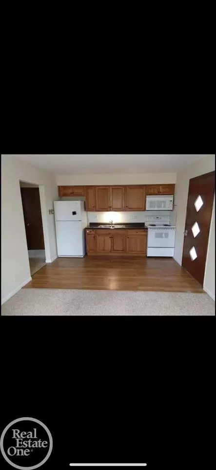 203 E Church, Capac, MI 48014 photo 9