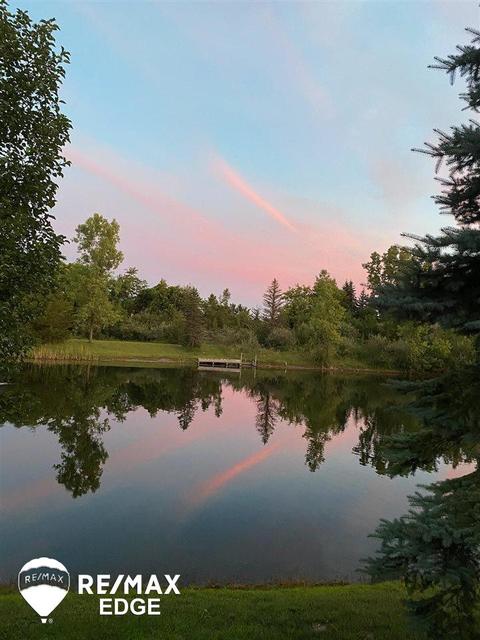 6287 Squire Lake Dr, Flushing, MI 48433 photo 34