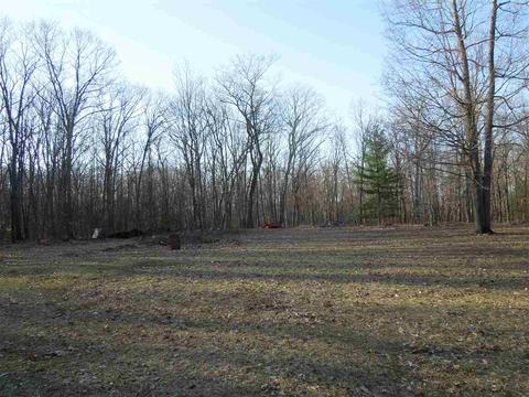 10286 Woods Rd, Gladwin, MI 48624 photo 6