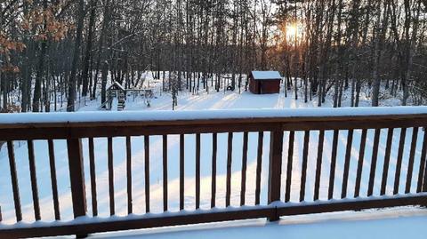 12863 Upton Rd, Bath, MI 48808 photo 26
