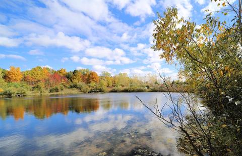 Elms, Flushing, MI 48433 photo 4