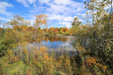 Elms, Flushing, MI 48433 photo 3
