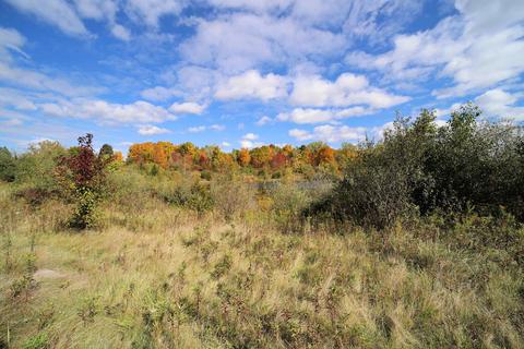 Elms, Flushing, MI 48433 photo 5
