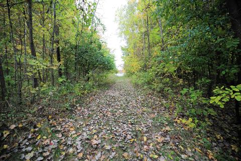 Elms, Flushing, MI 48433 photo 9