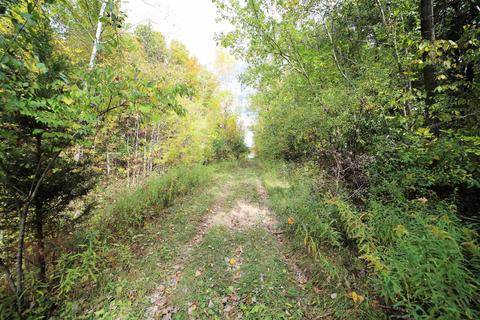 Elms, Flushing, MI 48433 photo 11
