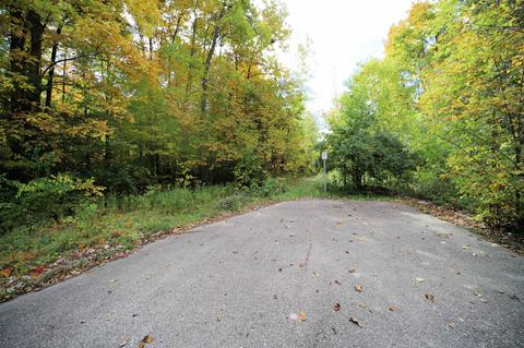 Elms, Flushing, MI 48433 photo 8