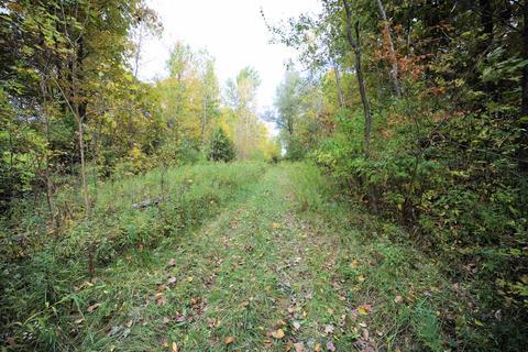 Elms, Flushing, MI 48433 photo 10