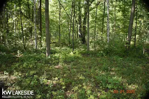 0 Yager, Saint Clair, MI 48079 photo 5
