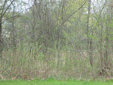 3201 Wilber Ave, Flushing, MI 48433 photo 12