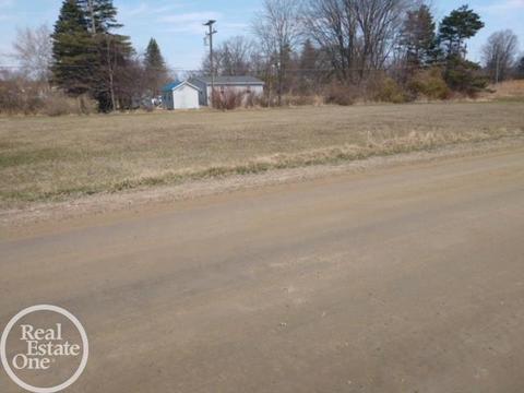 0 Burns Line, Lexington, MI 48450