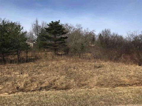 291 Track Iron, Gladwin, MI 48624