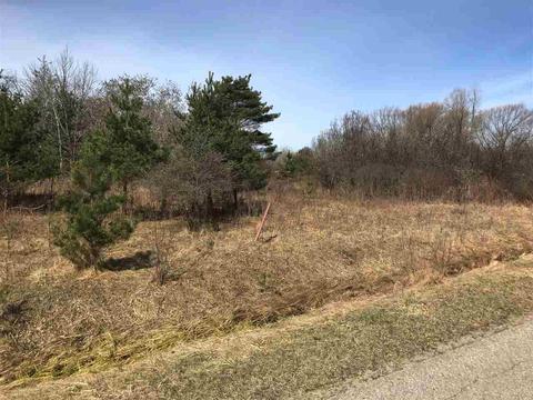 291 Track Iron, Gladwin, MI 48624 photo 4