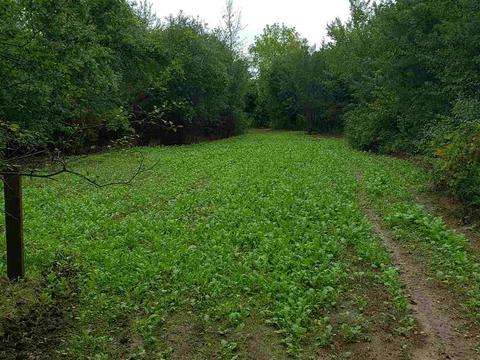 8379 E Potter Rd, Davison, MI 48423 photo 56