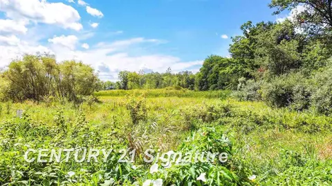 lot25 Northern Pintail, Hemlock, MI 48626