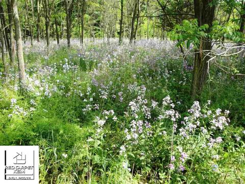 12421 E Carpenter Rd, Davison, MI 48423 photo 21