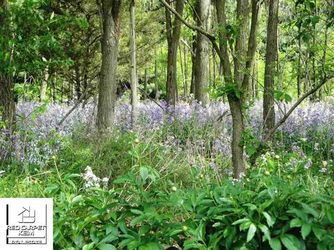 12421 E Carpenter Rd, Davison, MI 48423 photo 22