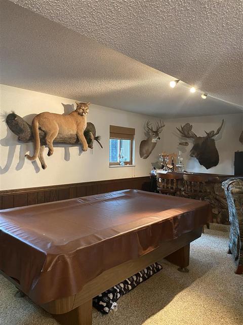 5221 E Vienna Rd, Clio, MI 48420 photo 20