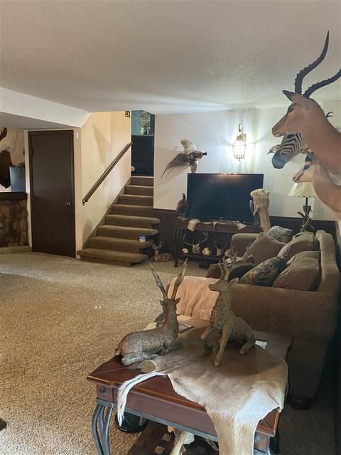 5221 E Vienna Rd, Clio, MI 48420 photo 21