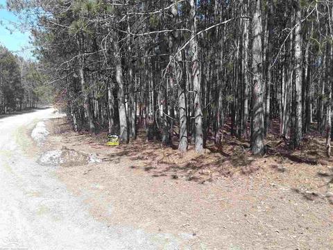 12380 Pine Mesa, Stanwood, MI 49346
