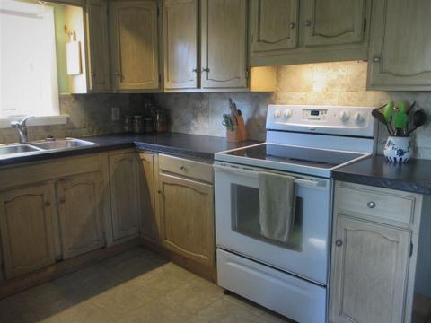 519 Chamberlain, Flushing, MI 48433 photo 14
