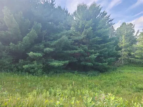 2530 Larch, Harrison, MI 48625 photo 6