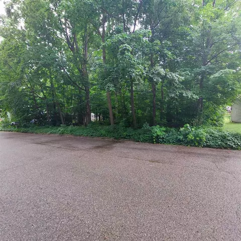 tbd Forest, Clare, MI 48617 photo 1