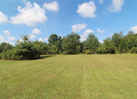 10299 N Webster Rd, Clio, MI 48420 photo 19
