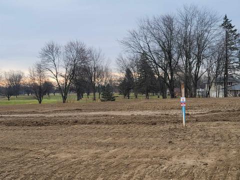 5393 Spring Meadows Way, Linden, MI 48451