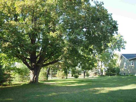 12281 W Mount Morris Rd, Flushing, MI 48433 photo 8