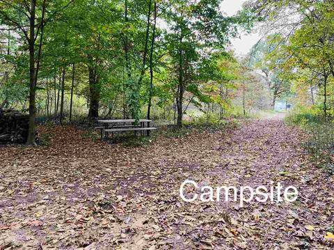 10273 E Stanley Rd, Davison, MI 48423 photo 74