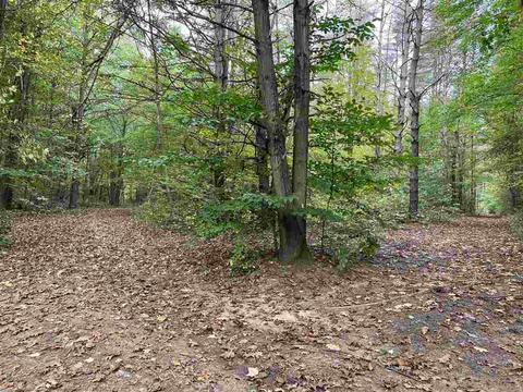10273 E Stanley Rd, Davison, MI 48423 photo 71