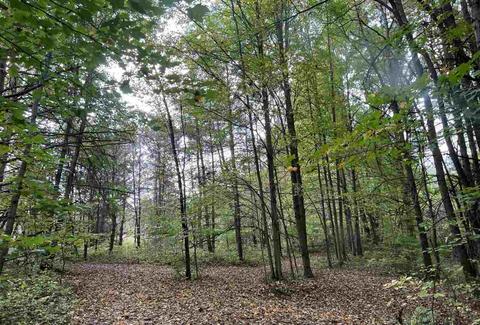 10273 E Stanley Rd, Davison, MI 48423 photo 69