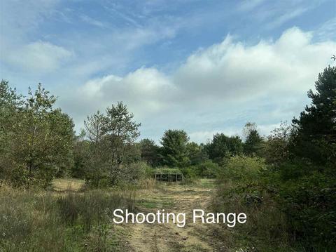 10273 E Stanley Rd, Davison, MI 48423 photo 63