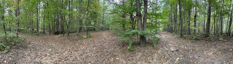 10273 E Stanley Rd, Davison, MI 48423 photo 72