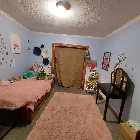 414 N Rainbow, Clare, MI 48617 photo 10