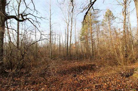 1254 E Lake Rd, Clio, MI 48420 photo 24