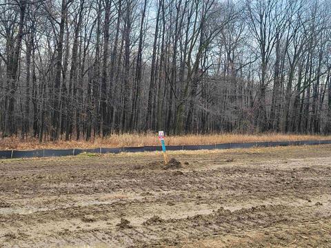 5246 Championship Dr, Linden, MI 48451