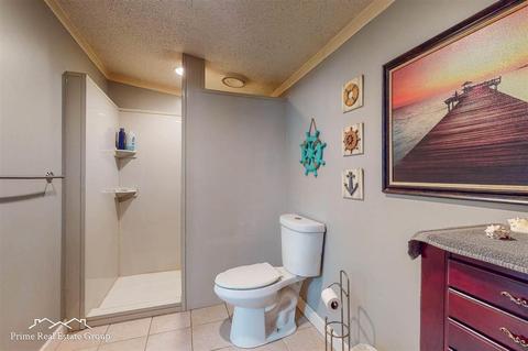 7280 N Bray, Mount Morris, MI 48458 photo 32