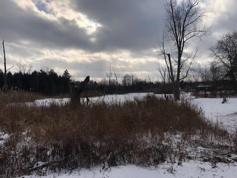 7054 Bristol, Davison, MI 48423 photo 31