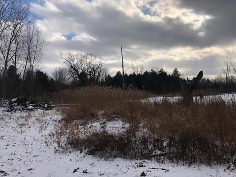 7054 Bristol, Davison, MI 48423 photo 30