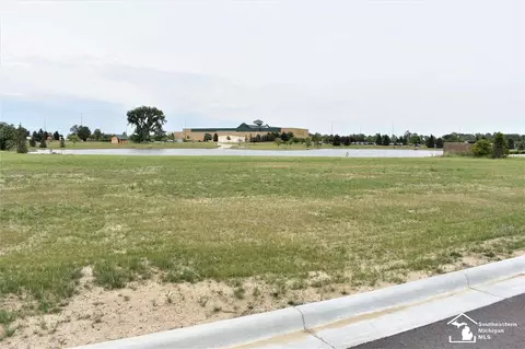 16484 Tecumseh, Dundee, MI 48131 photo 2