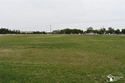16482 Tecumseh, Dundee, MI 48131 photo 3
