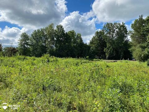 0 W Frances, Montrose, MI 48433